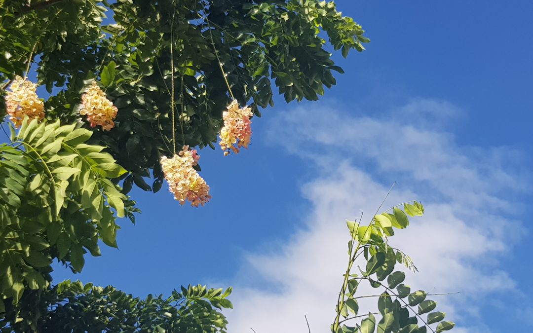 A better bright future