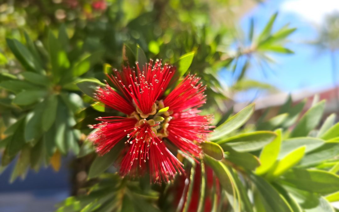 Be in control+Be you