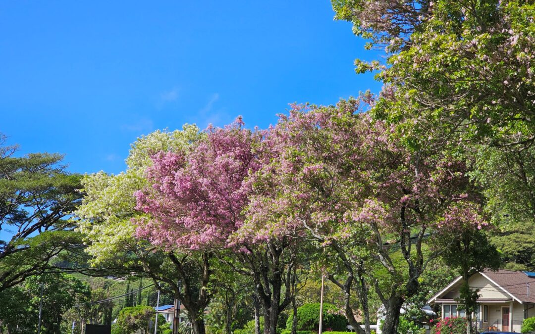 Surrendering to the unknown