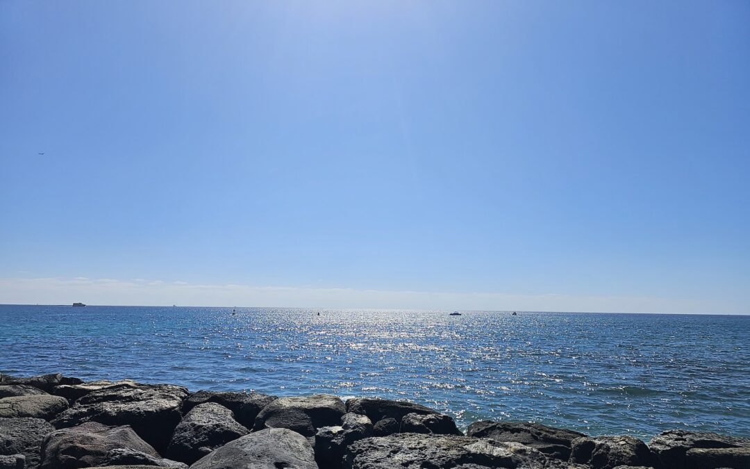 Go with the flow and accept changes