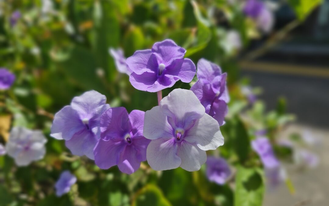 Love, Share, and Trust: How All Experiences Contribute to Inner Strength