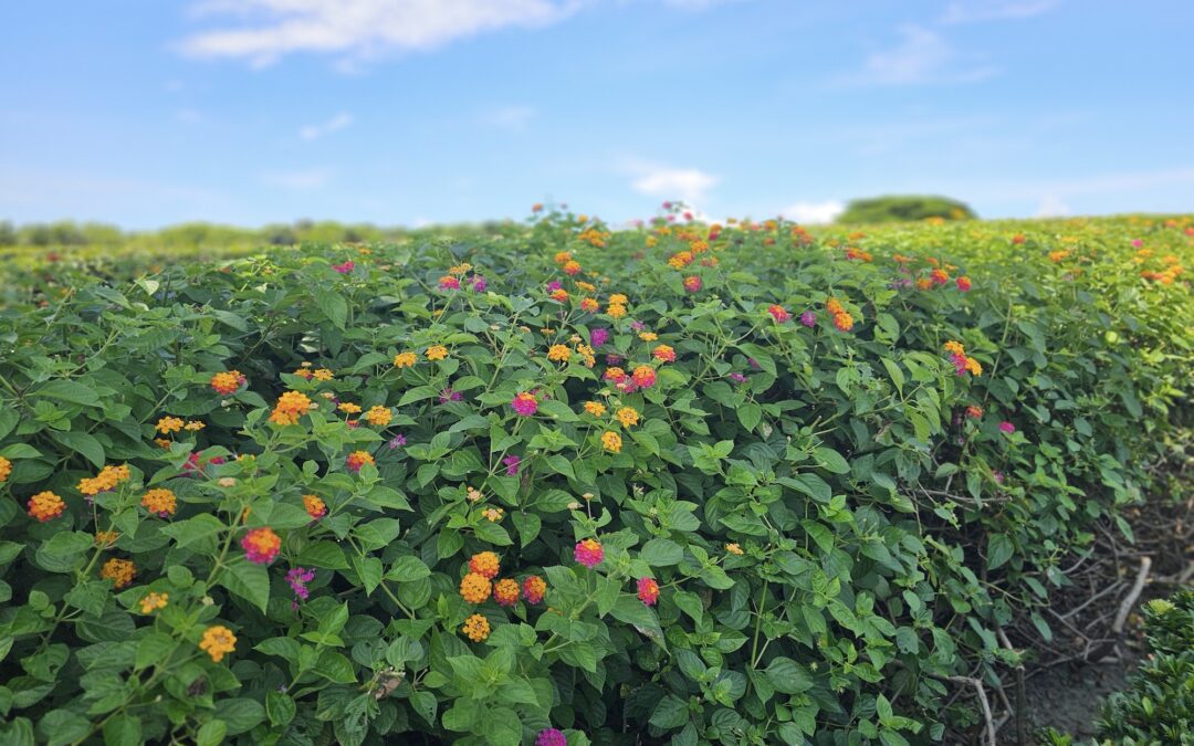 Just start, the rest will follow