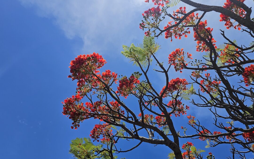 The Essential Elements of Pausing