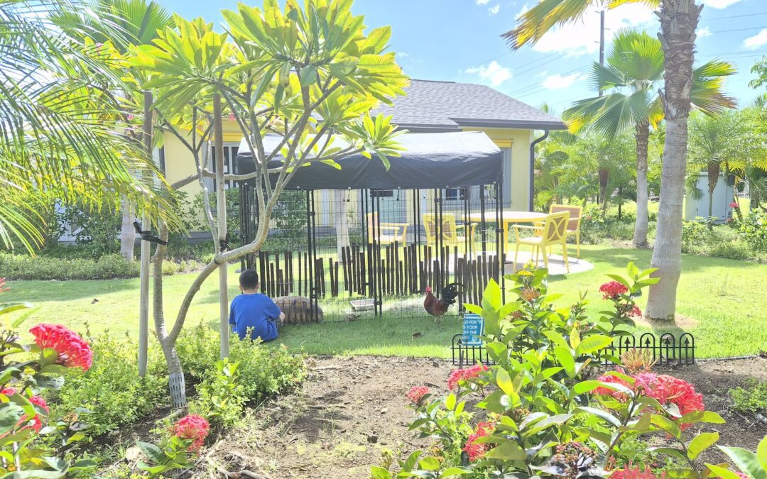 Quiet Compassion in Action